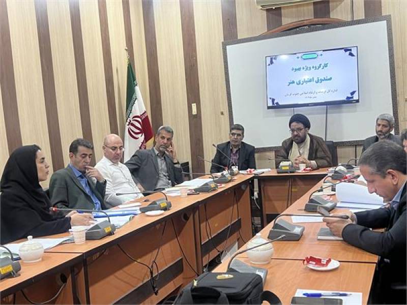 کارگروه ویژه بهبود صندوق اعتباری هنر در جنوب کرمان برگزار شد
