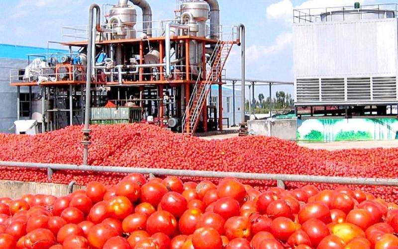 مدیرکل صنعت، معدن و تجارت جنوب کرمان گفت: با هدف جهش در تولید، مشکلات کارخانه‌های تولید رب بررسی و رفع شد.