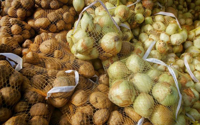 ریزش بیشتر قیمت پیاز در راه است