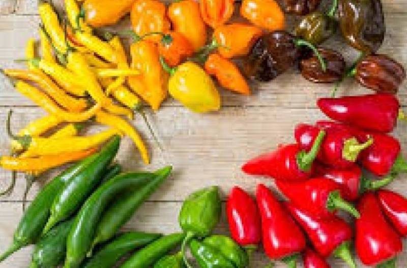 چرا باید فلفل تند بخوریم؟/ ویدیو