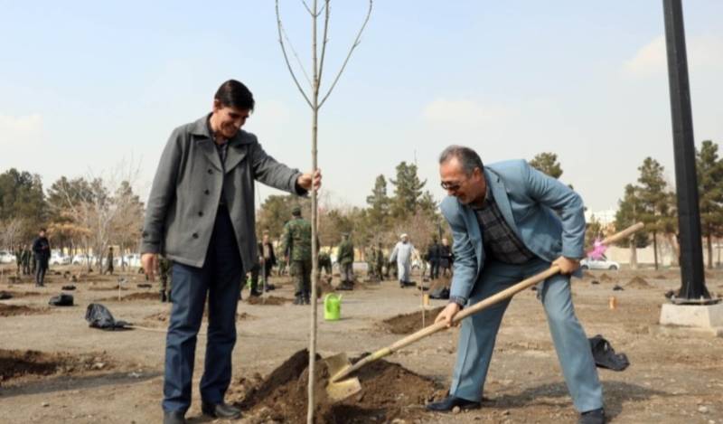 برگزاری پویش درختکاری «به نام پدر» در ۱۷ شهرستان استان کرمان