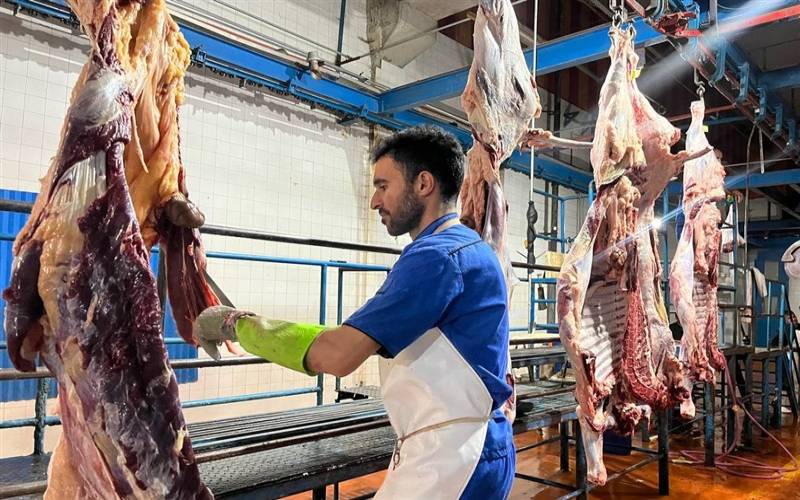 ضرورت احداث کشتارگاه مدرن در جنوب استان کرمان