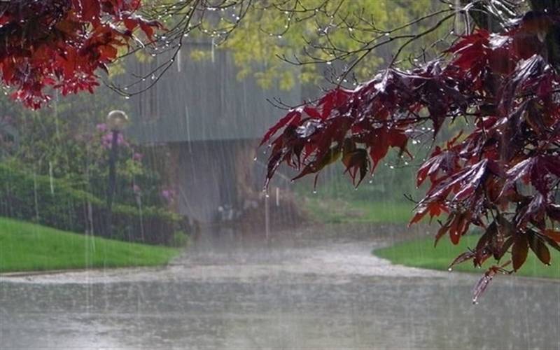 تداوم بارندگی در کرمان؛ افزایش وزش باد و کاهش نسبی دما