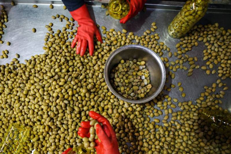 فرآوری ضایعات کشاورزی، تضمین سود، سرمایه‌گذاری و اشتغال +فیلم