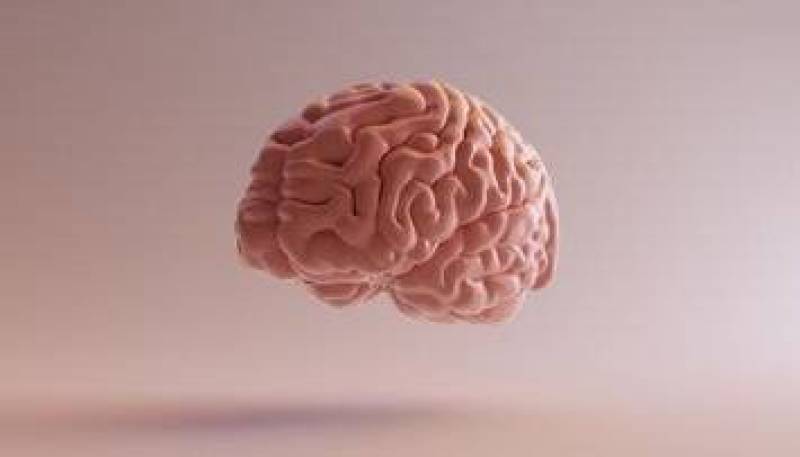 با خوردن این میوه افسرده نمی‌شوید