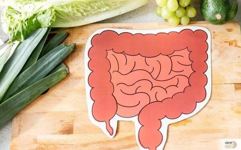 روده‌ی شما بر لاغری شما تاثیر دارد؟