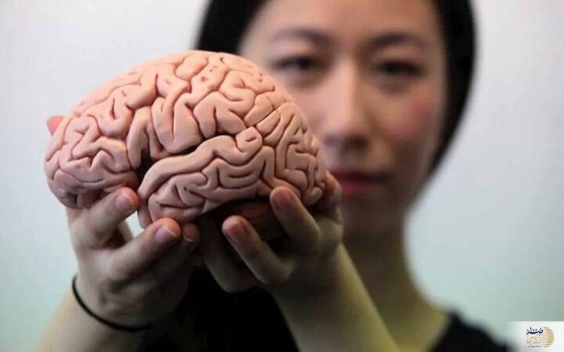 اگر می خواهید همیشه مغزتان جوان بماند دور این ماده را خط قرمز بکشید