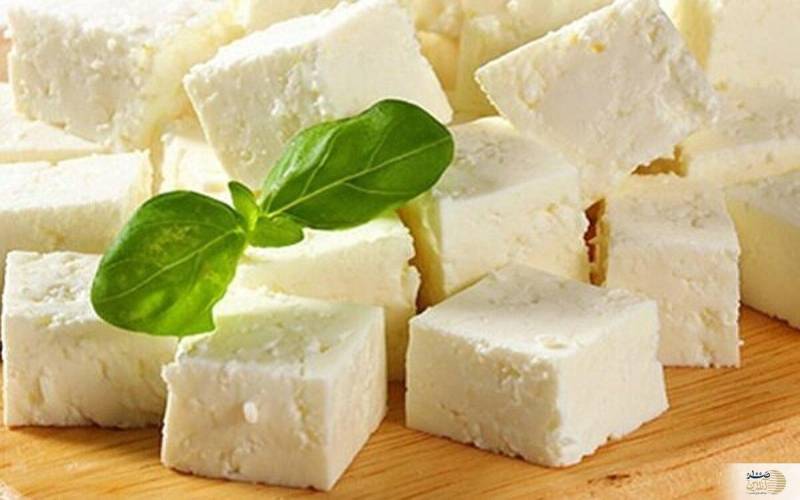 این لبنیات بمب انرژی روده شماست